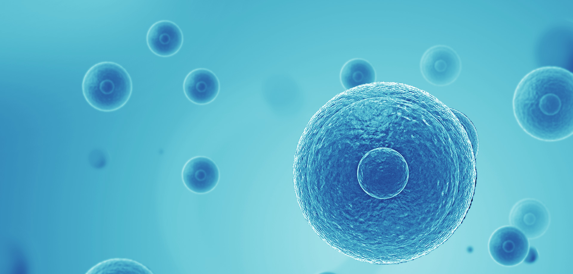 以患者需求為核心，驅(qū)動(dòng)細(xì)胞免疫治療創(chuàng)新，實(shí)現(xiàn)癌癥可控化并最終治愈。